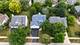 2436 Haider, Naperville, IL 60564
