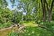 1020 Gladys, Morris, IL 60450