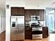 1201 S Prairie Unit 3206, Chicago, IL 60605