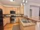 8449 Callie, Morton Grove, IL 60053