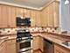 8449 Callie, Morton Grove, IL 60053