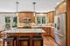 1355 W Kenilworth, Palatine, IL 60067