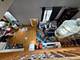1900 W Ohio Unit 2F, Chicago, IL 60622