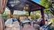 554 Foxford, Bartlett, IL 60103