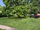 2166 171st, Hazel Crest, IL 60429