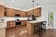 590 Oxford, Lindenhurst, IL 60046