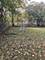 2716 Chariot, Olympia Fields, IL 60461