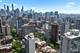1410 N State Unit 5B, Chicago, IL 60610