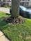 8634 S Carpenter, Chicago, IL 60620