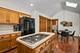 1091 Danforth, Batavia, IL 60510