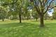 3077 N Southern Hills, Wadsworth, IL 60083