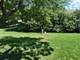 545 Woodcrest Unit 545, Mundelein, IL 60060