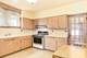 806 S Vine, Park Ridge, IL 60068