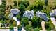 1265 Radford, Aurora, IL 60502