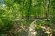 25644 W Brooks Farm, Round Lake, IL 60073