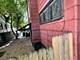 3651 W 64th, Chicago, IL 60629
