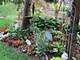 164 Chatsworth, Schaumburg, IL 60194