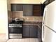827 W College Unit 101, Addison, IL 60101