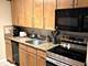 1339 N Dearborn Unit 4A, Chicago, IL 60610
