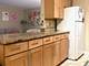 1339 N Dearborn Unit 4A, Chicago, IL 60610