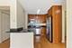 450 W Briar Unit 13C, Chicago, IL 60657