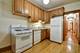 849 W Grace Unit 3, Chicago, IL 60613