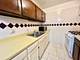 2A E Dundee Quarter Unit 207, Palatine, IL 60074