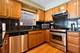 3013 N Oriole, Chicago, IL 60707