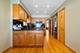3013 N Oriole, Chicago, IL 60707