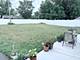 10 Sauk, Park Forest, IL 60466