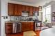 1657 S Throop Unit 3N, Chicago, IL 60608