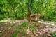 515 Timbers, St. Charles, IL 60174