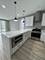 4156 S Michigan Unit 2, Chicago, IL 60653