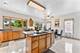 1007 Wildwood, Mount Prospect, IL 60056