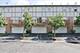 1137 N Claremont, Palatine, IL 60074