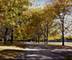 2742 W Montrose Unit 2, Chicago, IL 60618