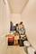 1926 W Belmont Unit 2, Chicago, IL 60657