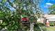 8822 S Paulina, Chicago, IL 60620