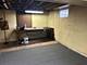 219 Spring, Naperville, IL 60540