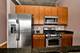 1151 W 15th Unit 336, Chicago, IL 60608
