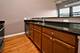 1151 W 15th Unit 336, Chicago, IL 60608