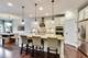 1382 Kensington, Glenview, IL 60025