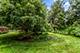 2423 Harrison, Evanston, IL 60201