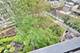 60 E Monroe Unit 1701, Chicago, IL 60603