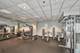 60 E Monroe Unit 1701, Chicago, IL 60603