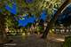 1319 Forest, Evanston, IL 60201