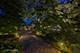 1319 Forest, Evanston, IL 60201