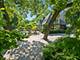 1319 Forest, Evanston, IL 60201