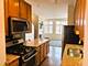 331 E 17th, Chicago, IL 60616