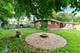 817 Meadow, Sycamore, IL 60178